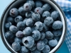 Blueberries-Photo