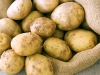 Potato-Photo.pg_