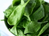 Spinach-pg-nutrition-label-jpg